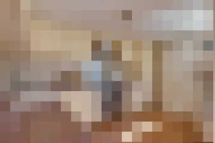 De Merel 17 Surhuisterveen thumbnail 17