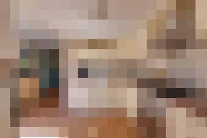 De Merel 17 Surhuisterveen thumbnail 18