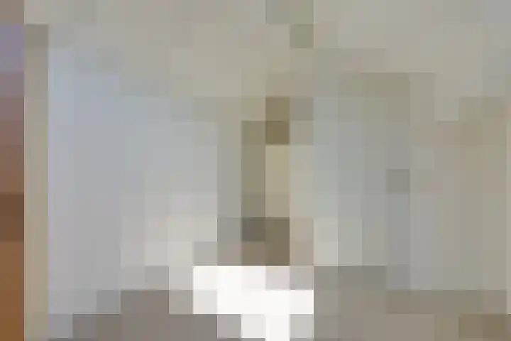 De Merel 17 Surhuisterveen thumbnail 34
