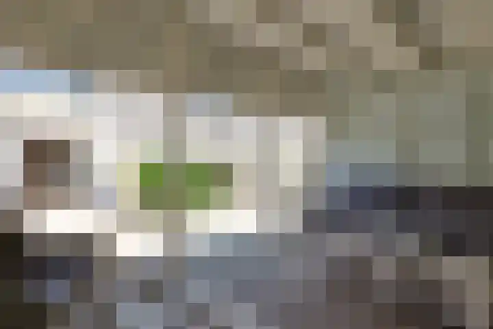 De Merel 17 Surhuisterveen thumbnail 38