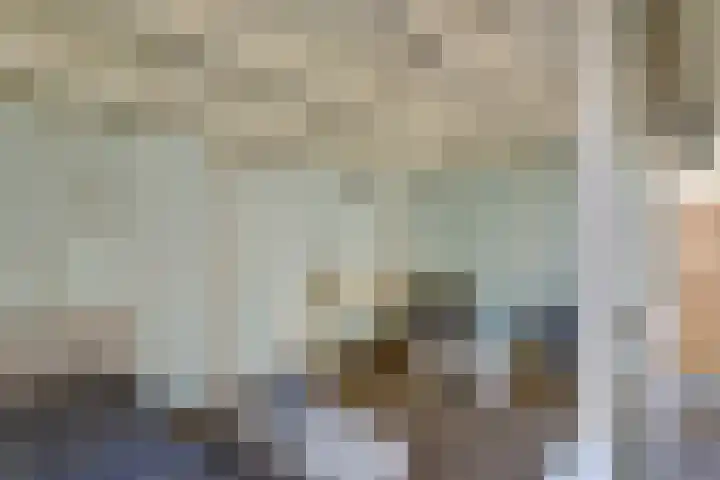 De Merel 17 Surhuisterveen thumbnail 39