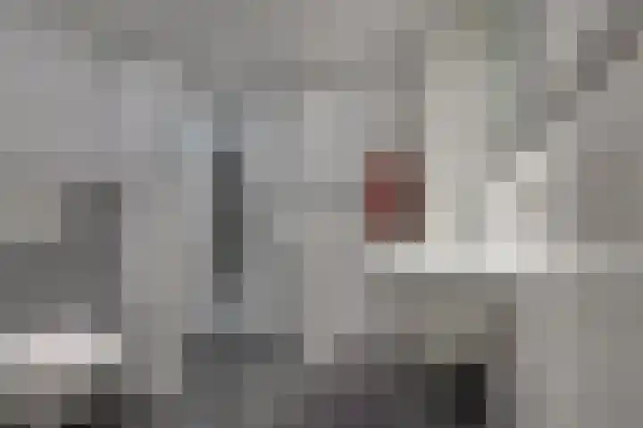 De Merel 17 Surhuisterveen thumbnail 4
