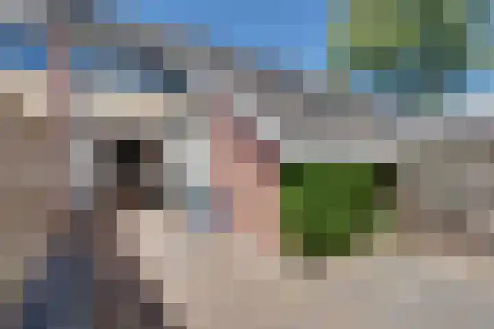 De Merel 17 Surhuisterveen thumbnail 40
