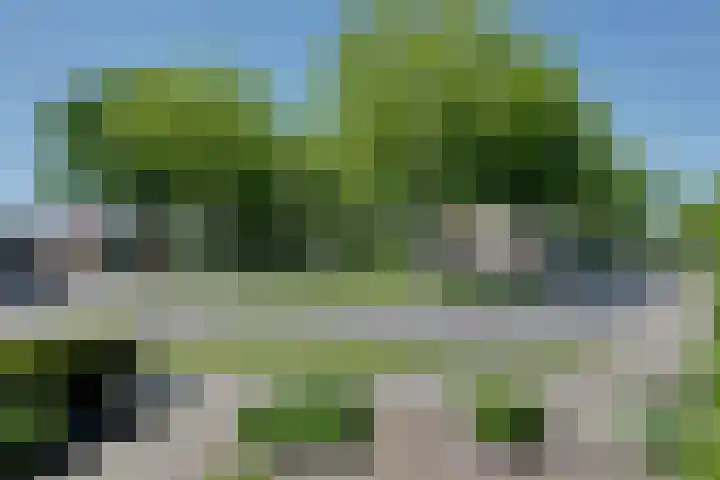 De Merel 17 Surhuisterveen thumbnail 41