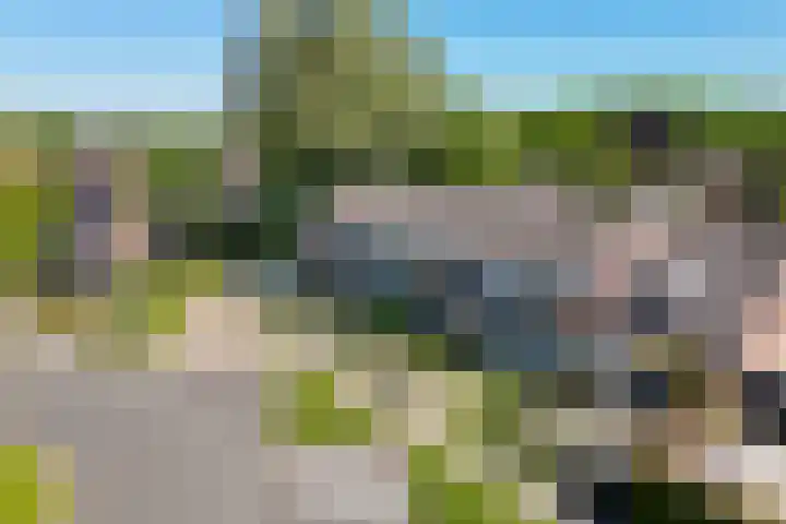 De Merel 17 Surhuisterveen thumbnail 44