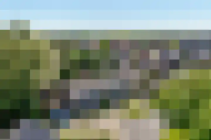 De Merel 17 Surhuisterveen thumbnail 45