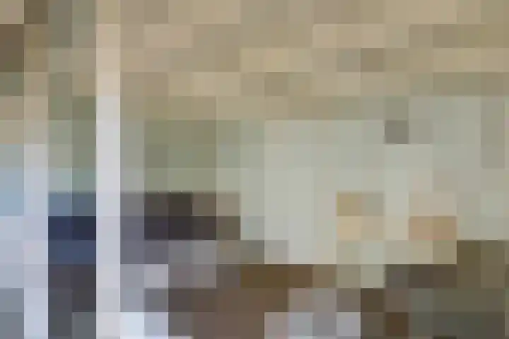 De Merel 17 Surhuisterveen thumbnail 5