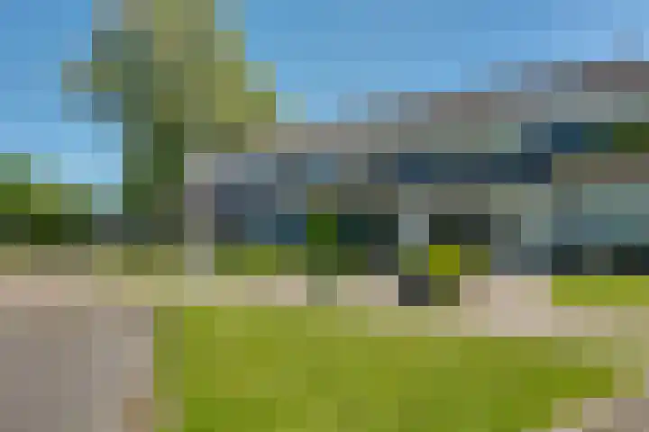 De Merel 17 Surhuisterveen thumbnail 6