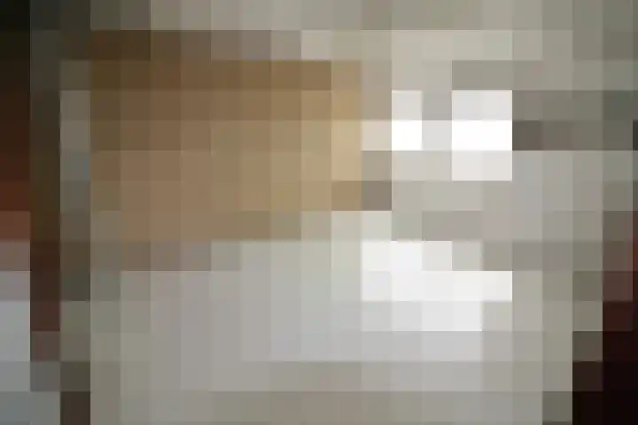 De Merel 21 Vriezenveen thumbnail 20