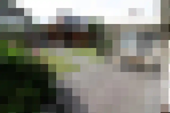 De Merel 21 Vriezenveen thumbnail 24