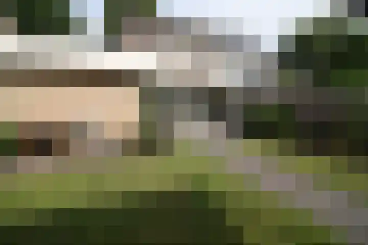 De Merel 21 Vriezenveen thumbnail 26
