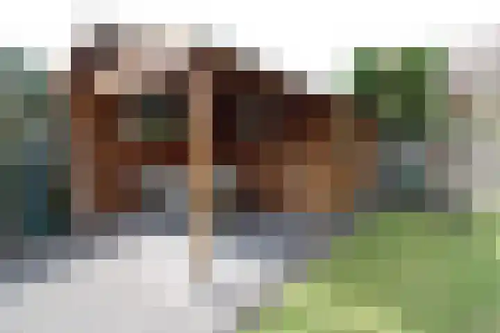 De Merel 21 Vriezenveen thumbnail 27