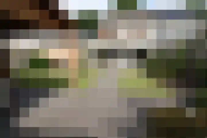 De Merel 21 Vriezenveen thumbnail 28