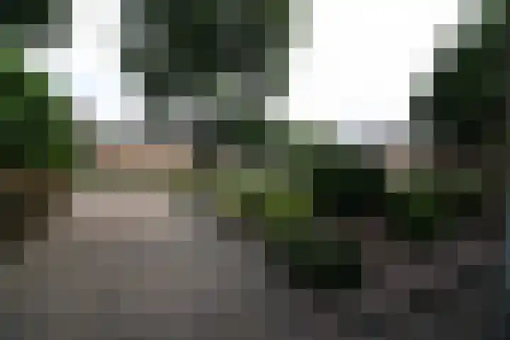 De Merel 21 Vriezenveen thumbnail 34