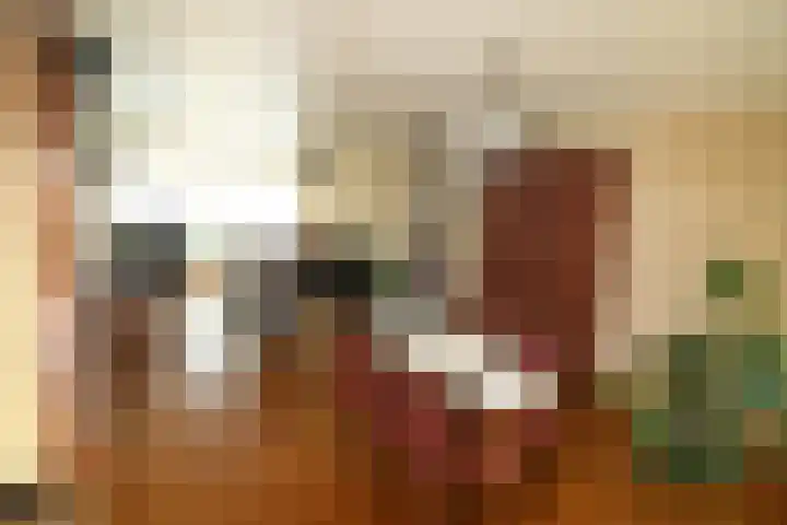 De Merel 21 Vriezenveen thumbnail 5