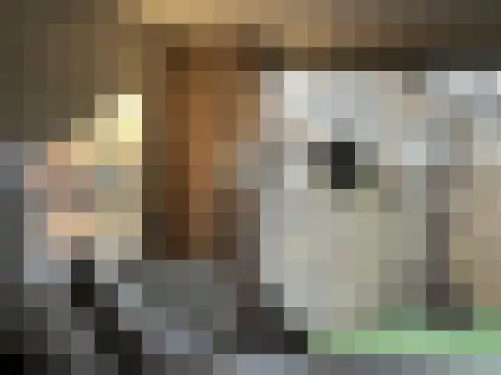 De Merel 21 Vriezenveen thumbnail 7