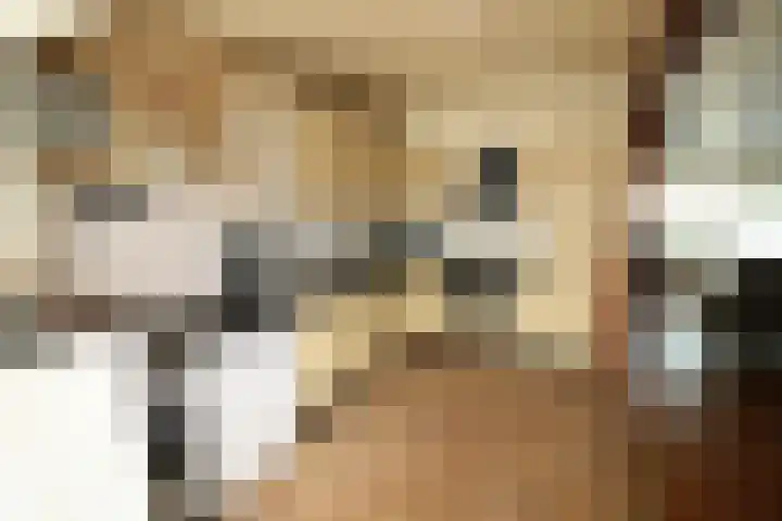 De Merel 21 Vriezenveen thumbnail 8