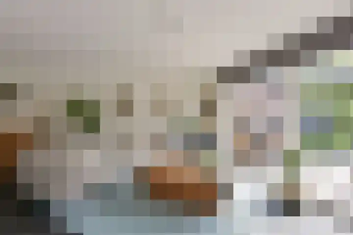 De Merel 21 Vriezenveen thumbnail 9