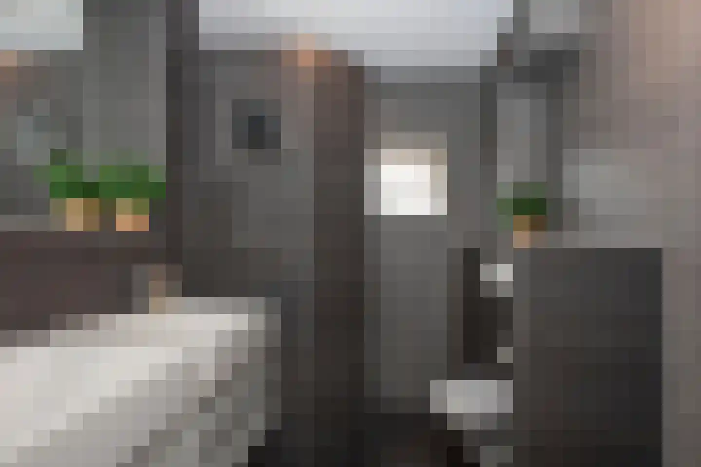 De Merel 3 Almelo thumbnail 18