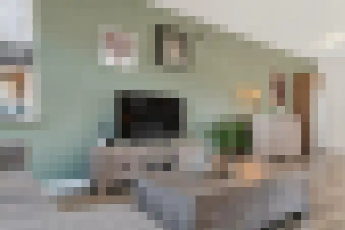 De Merel 53 Vriezenveen thumbnail 11
