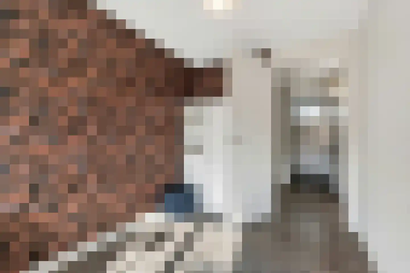 De Merel 53 Vriezenveen thumbnail 23
