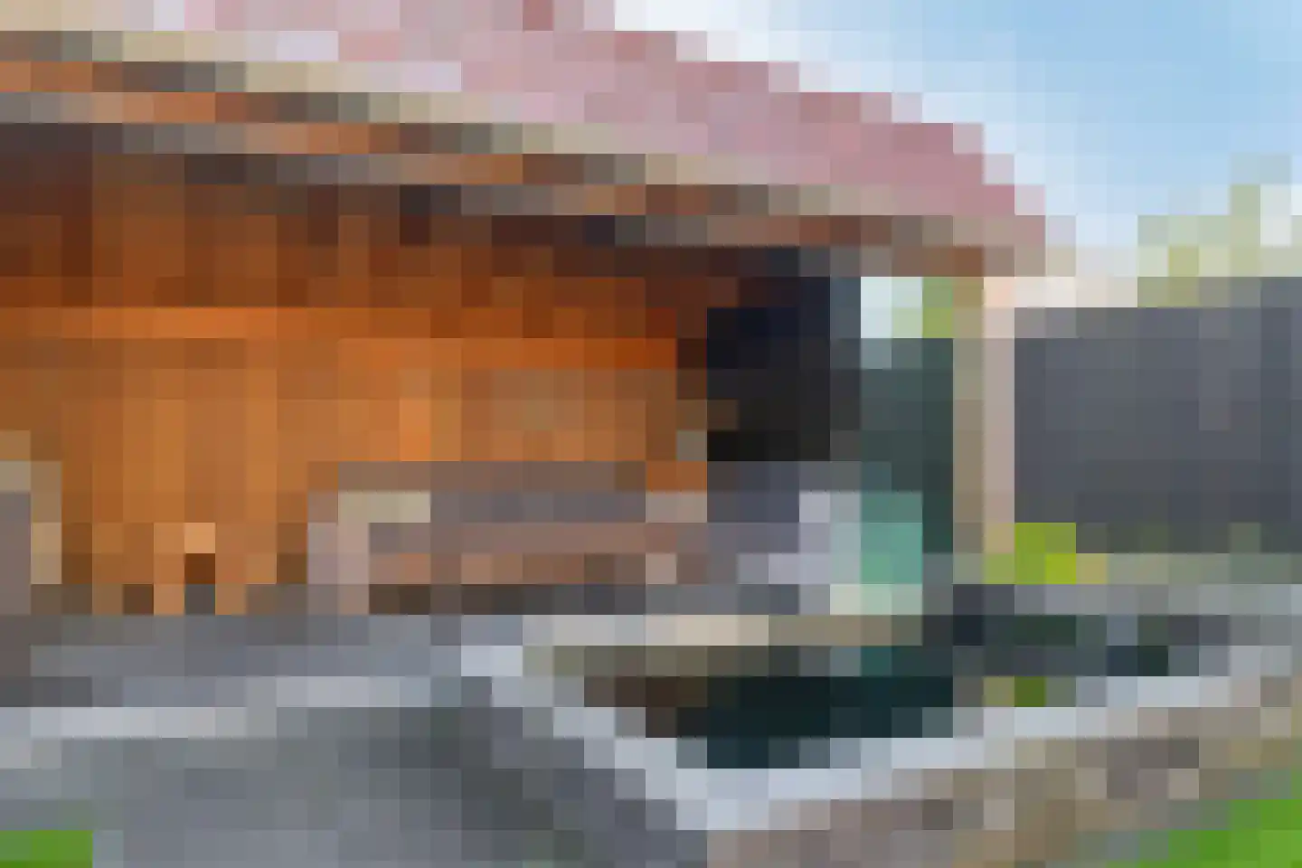 De Merel 53 Vriezenveen thumbnail 36