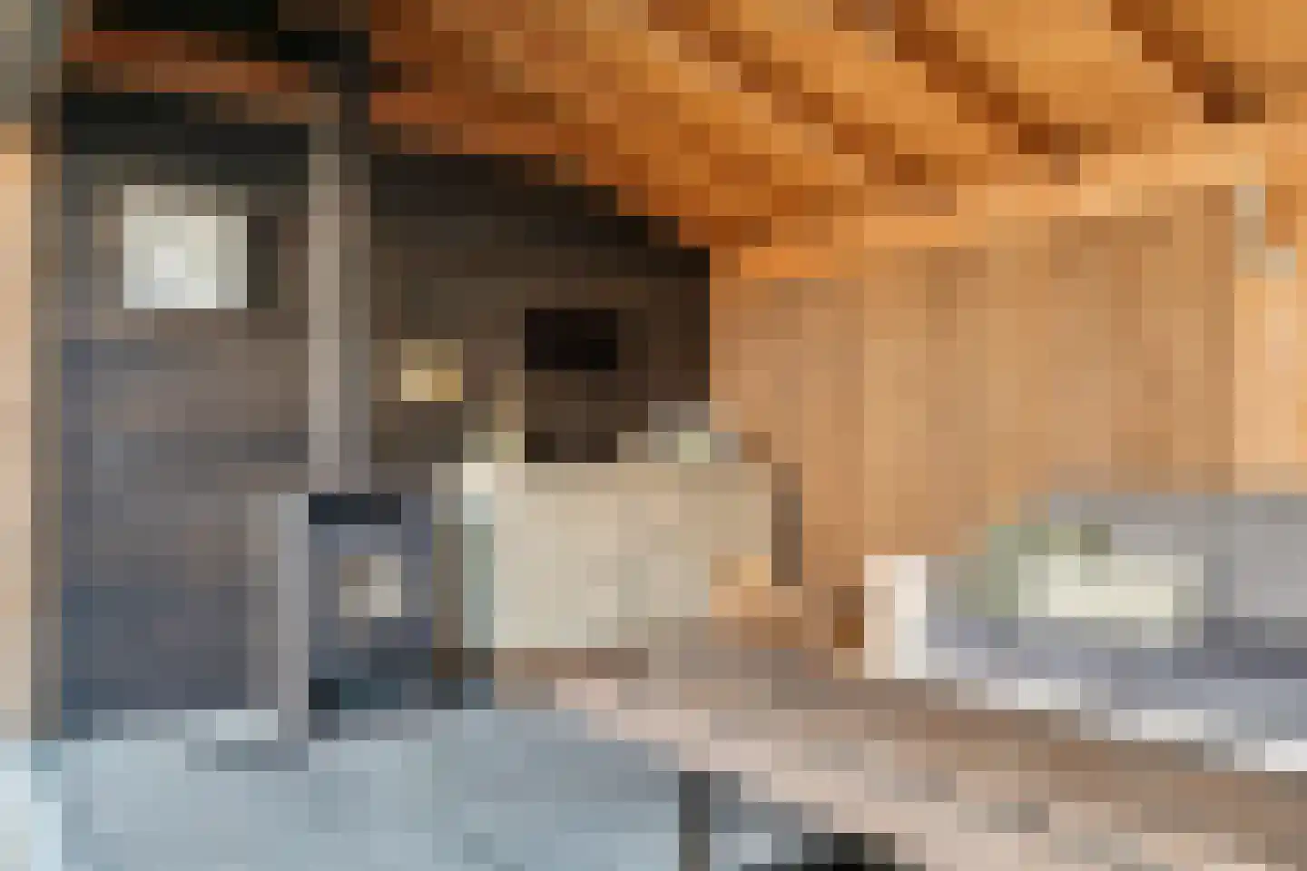 De Merel 53 Vriezenveen thumbnail 37