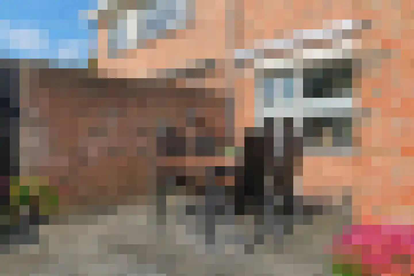 De Merel 53 Vriezenveen thumbnail 41