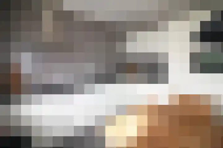 De Merel 9 Vriezenveen thumbnail 10