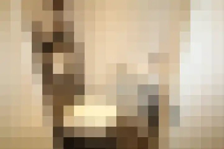 De Merel 9 Vriezenveen thumbnail 17
