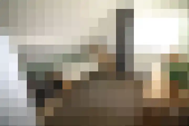 De Merel 9 Vriezenveen thumbnail 21
