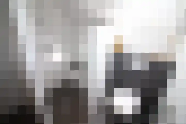 De Merel 9 Vriezenveen thumbnail 28