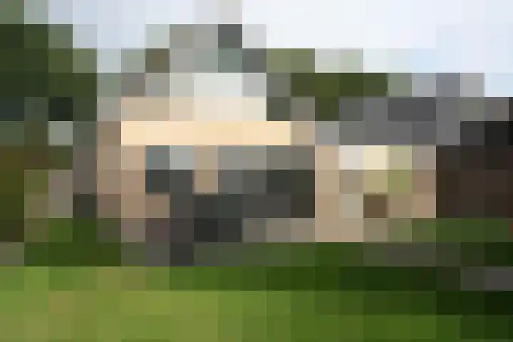 De Merel 9 Vriezenveen thumbnail 29