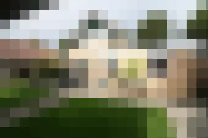 De Merel 9 Vriezenveen thumbnail 30