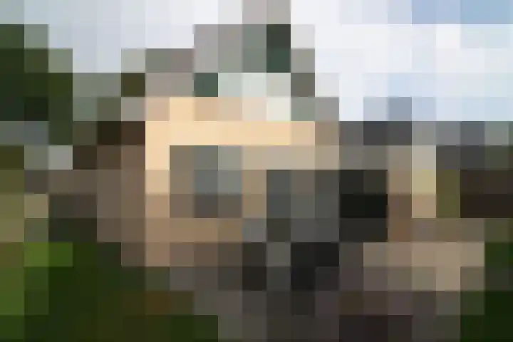 De Merel 9 Vriezenveen thumbnail 31