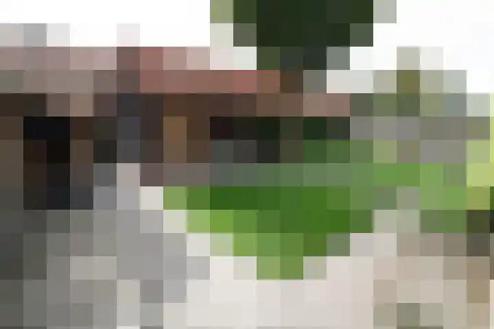 De Merel 9 Vriezenveen thumbnail 32