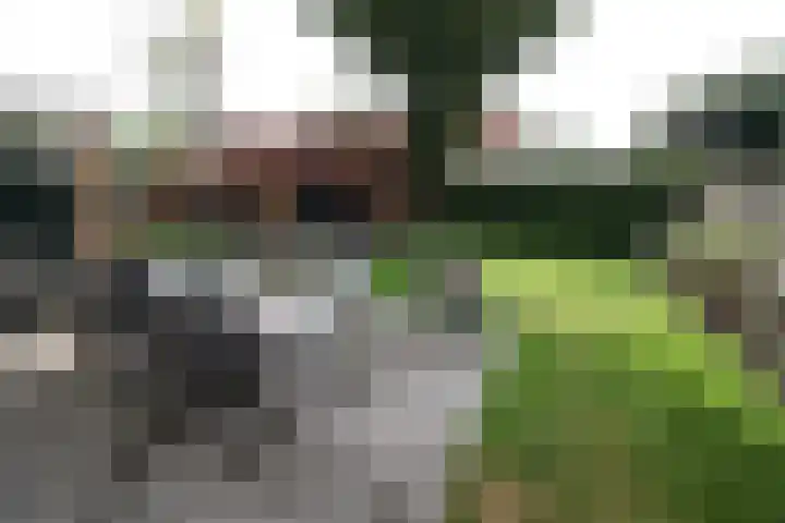 De Merel 9 Vriezenveen thumbnail 36