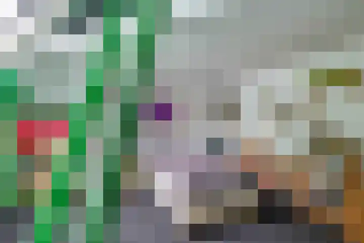 De Merel 9 Vriezenveen thumbnail 38