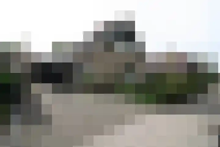 De Merel 9 Vriezenveen thumbnail 42