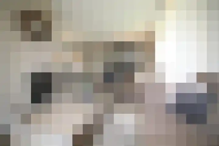 De Merel 9 Vriezenveen thumbnail 5