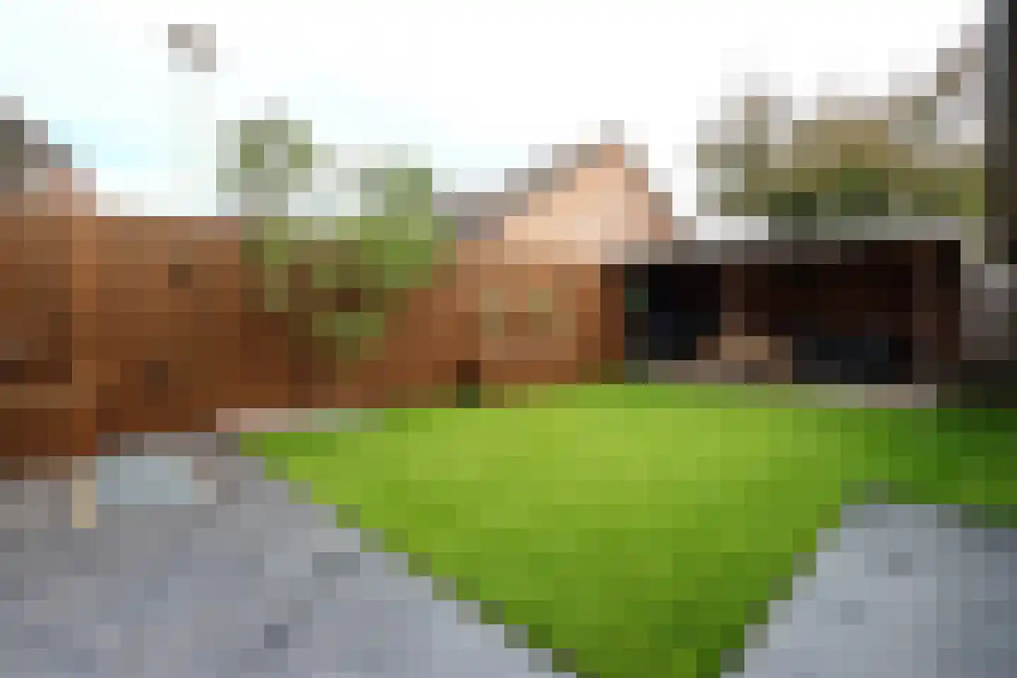De Merelle 26 Groesbeek thumbnail 11