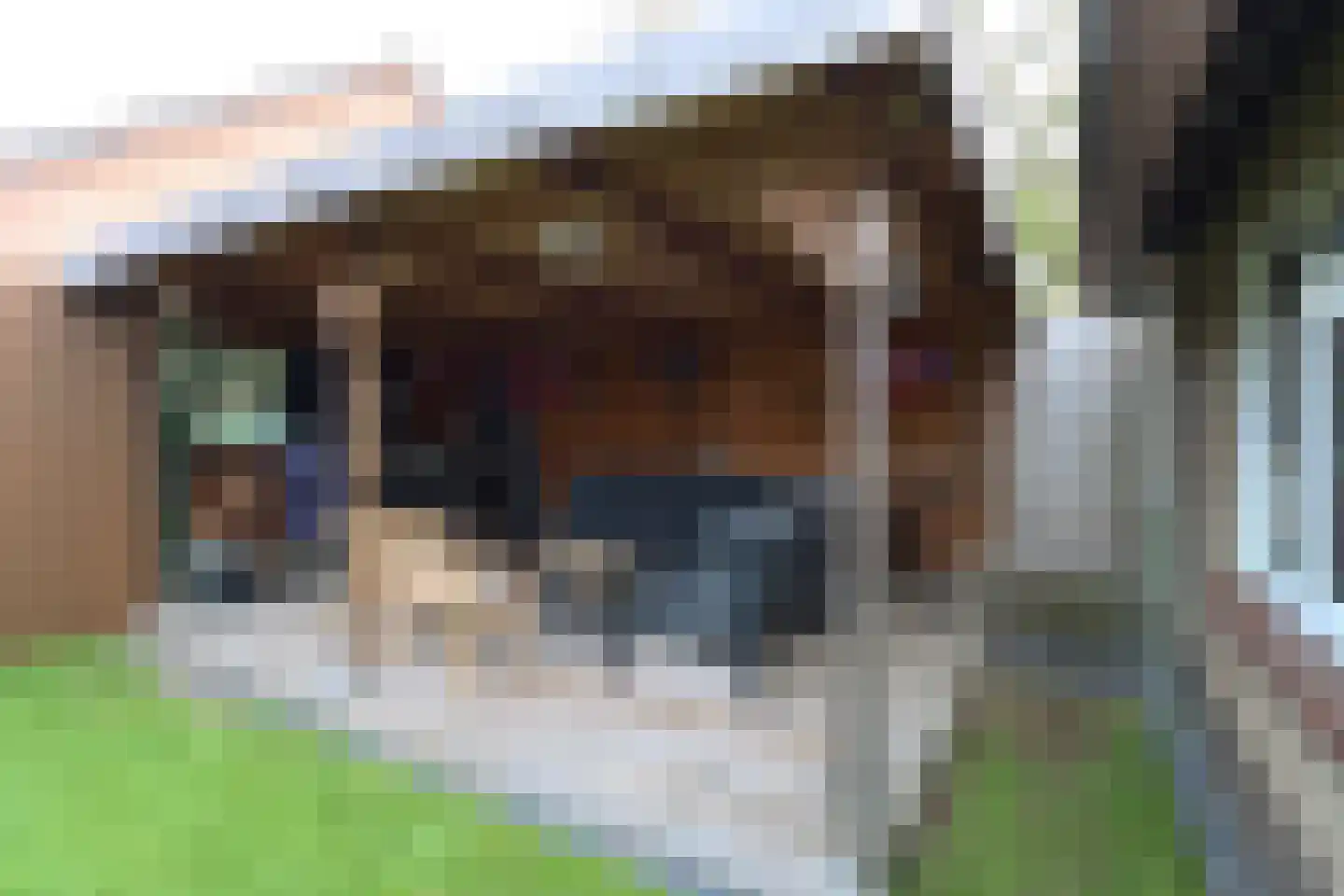 De Merelle 26 Groesbeek thumbnail 12