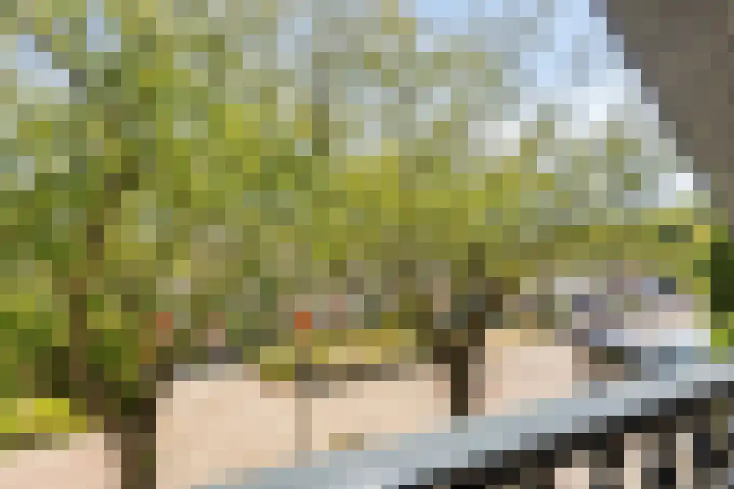 De Merelle 3 Groesbeek thumbnail 25