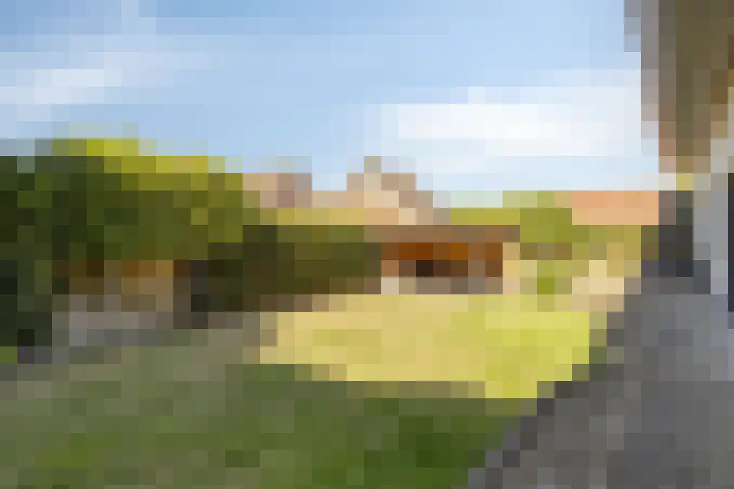 De Merelle 3 Groesbeek thumbnail 50