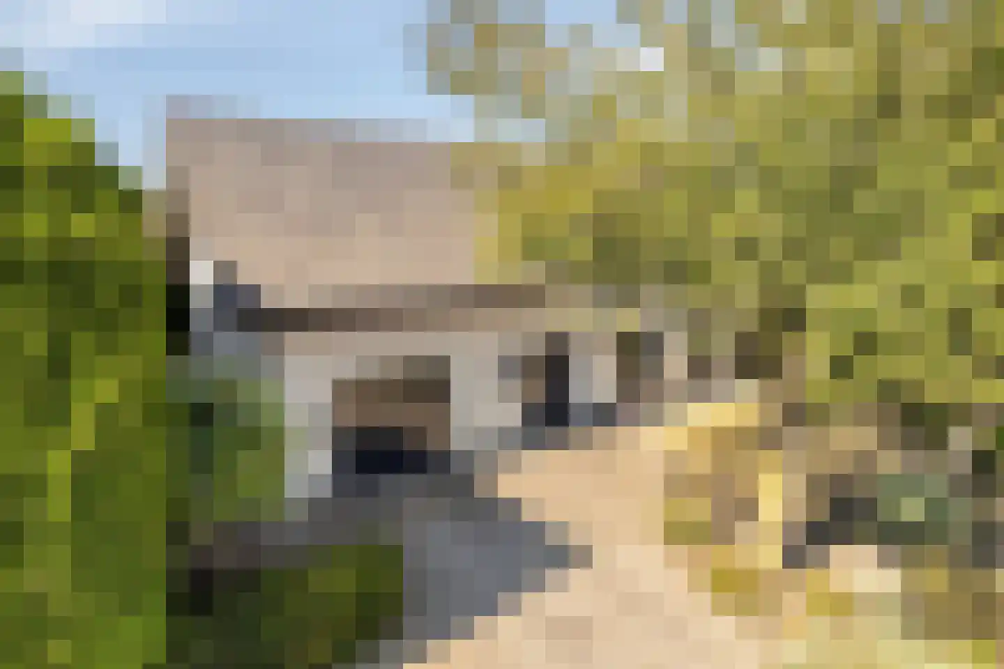 De Merelle 3 Groesbeek thumbnail 53