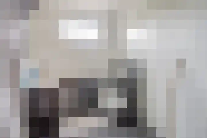 de Meren 1026 Wijchen thumbnail 14
