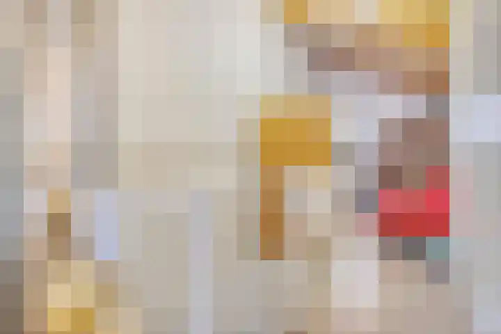 de Meren 1026 Wijchen thumbnail 18