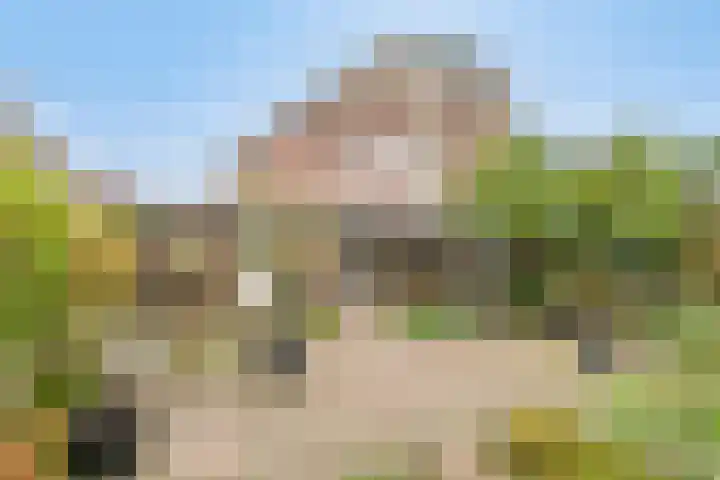 de Meren 1026 Wijchen thumbnail 20