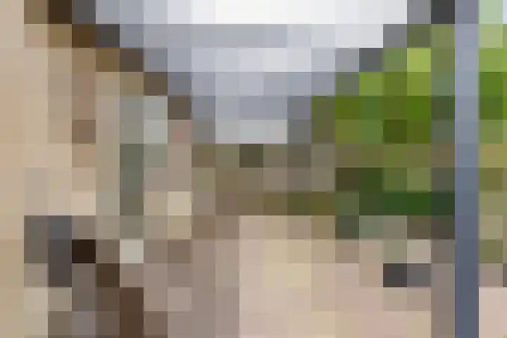 de Meren 1026 Wijchen thumbnail 21