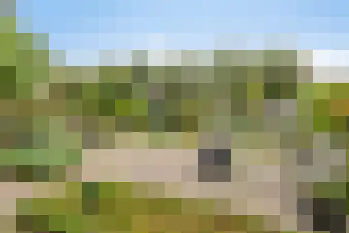 de Meren 1026 Wijchen thumbnail 22